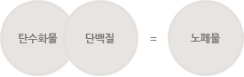 탄수화물 지방 단백질