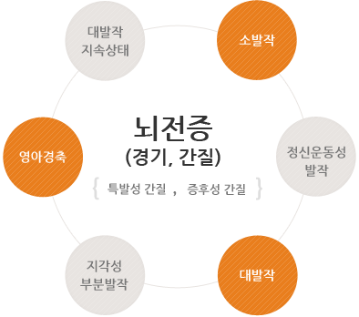 뇌전증(경기, 간질) 특발성 간질,후성 간질 대발작지속상태,소발작,정신운동성발작,대발작,지각성부분발작,영아경축